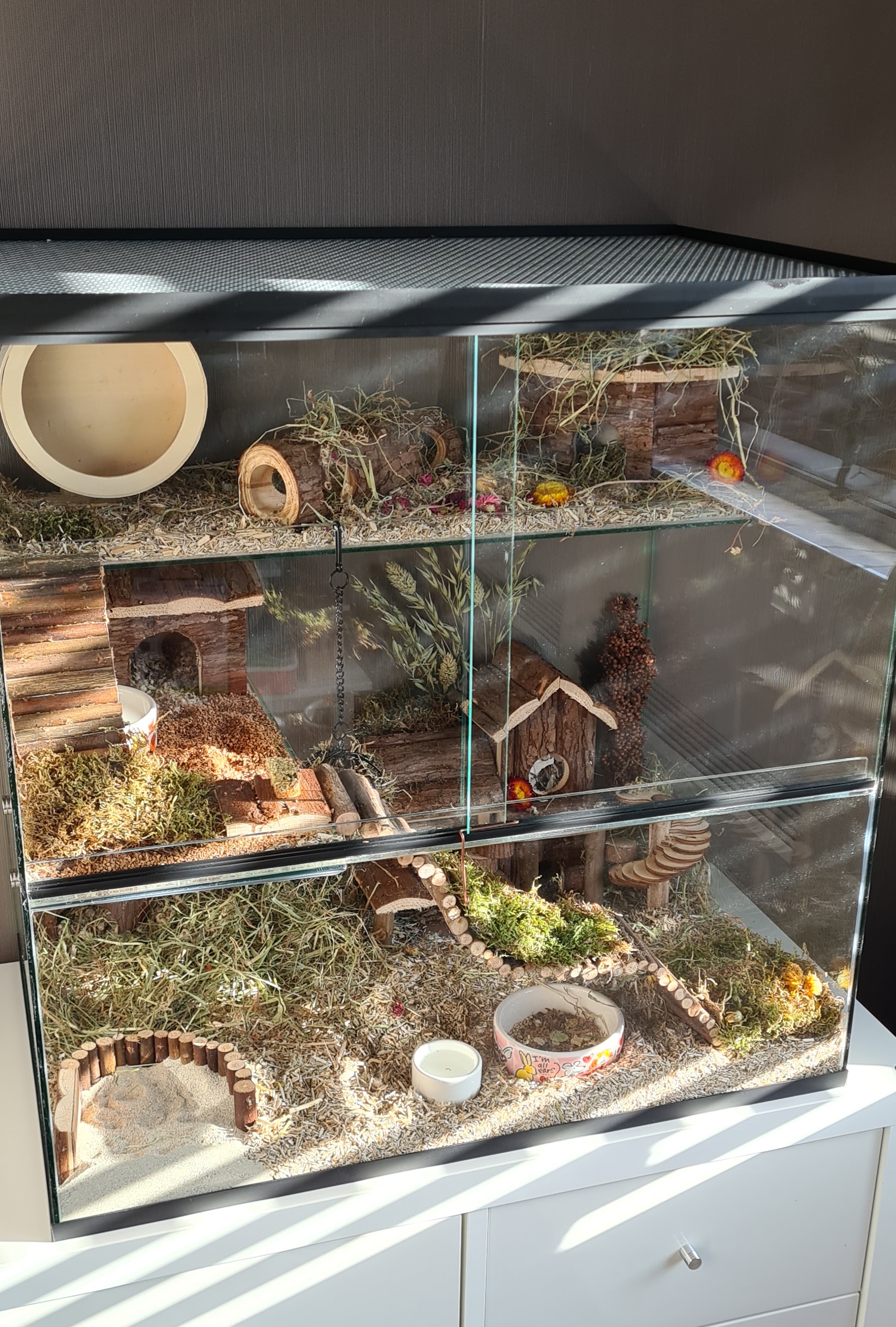 Terrarium 60x40x60